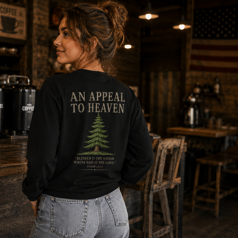 An Appeal To Heaven Premium heavyweight long sleeve shirt