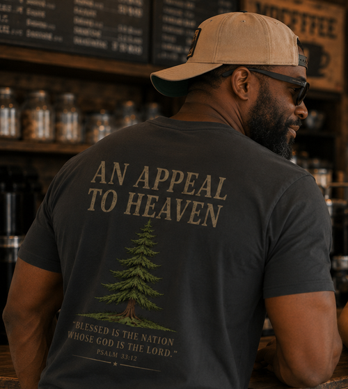 An Appeal To Heaven Premium Tee